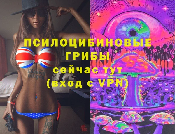 экстази Ельня