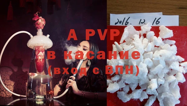 индика Пересвет