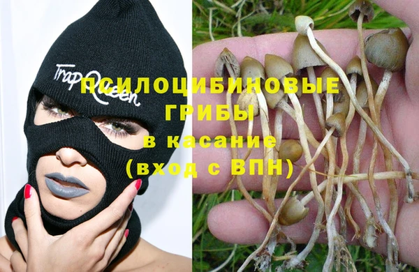 прущая мука Елизово