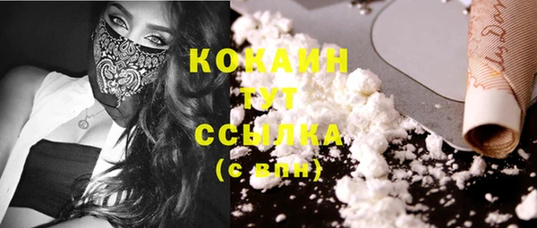 экстази Ельня