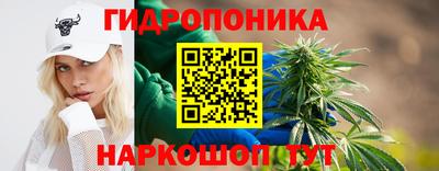 jwh Новокубанск
