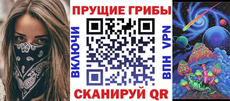 где купить   Сатка  Галлюциногенные грибы Psilocybe 