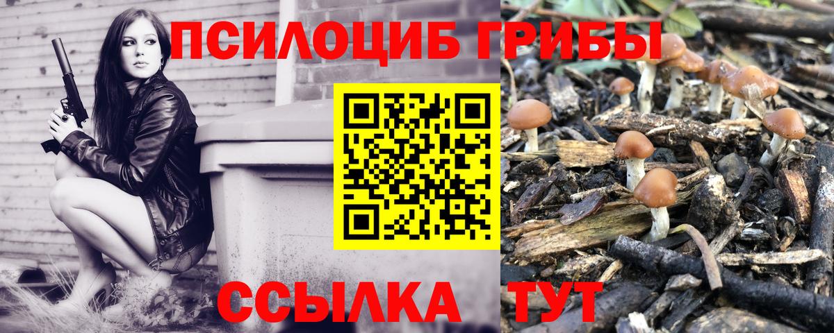 Псилоцибиновые грибы Psilocybe  Вход с VPN  Сатка 
